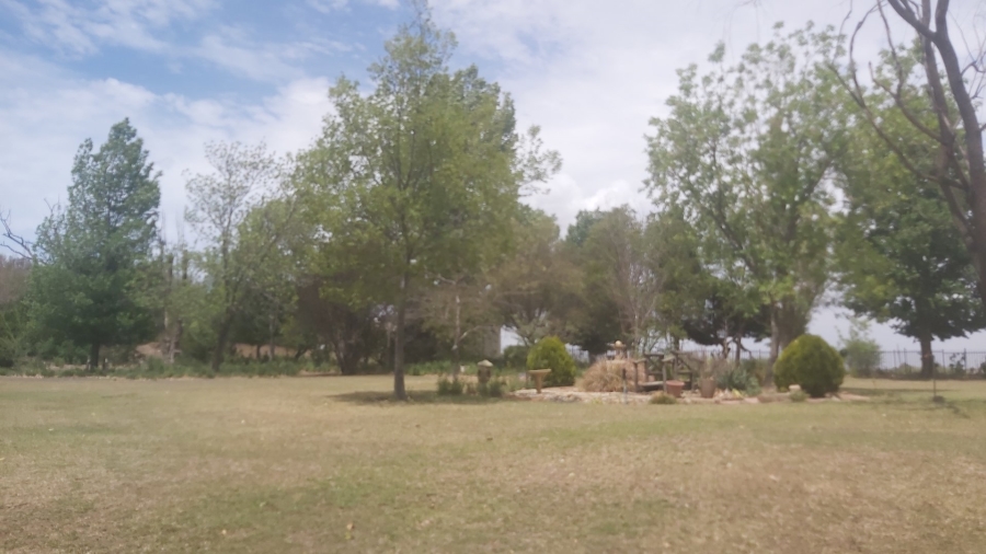 To Let 4 Bedroom Property for Rent in Roodewal Free State